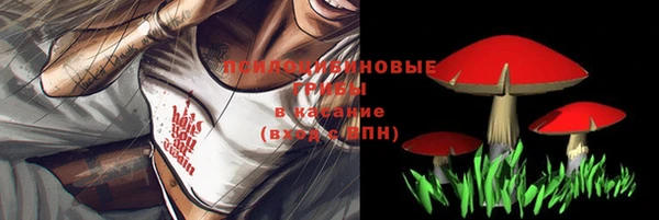 ГАЛЛЮЦИНОГЕННЫЕ ГРИБЫ Богородицк