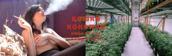 ГАЛЛЮЦИНОГЕННЫЕ ГРИБЫ Богородицк