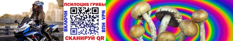 Галлюциногенные грибы мицелий  Купить закладки  Палласовка 